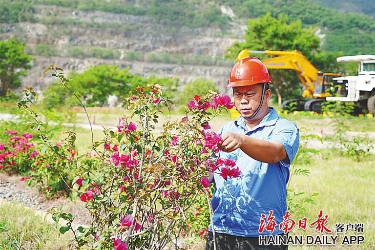 海南这座矿山，为何这么绿？4.jpg